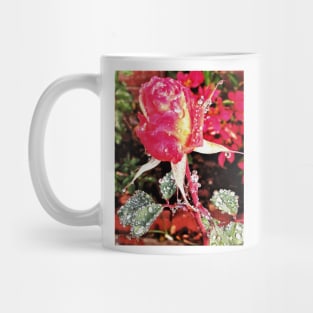 Rose after rain Mug